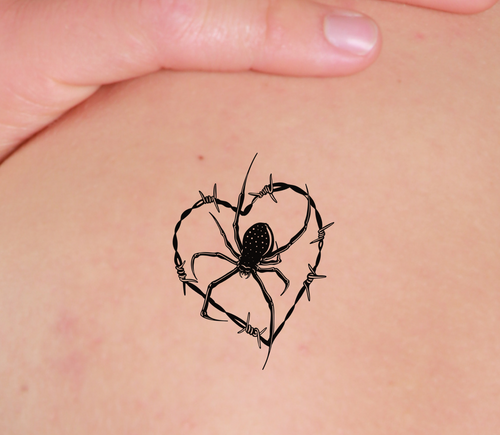 Liebe Spinne