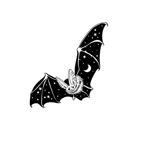 Sternenfledermaus
