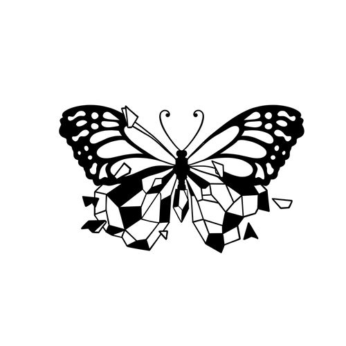 Diamant-Schmetterling – Flügelsplitter