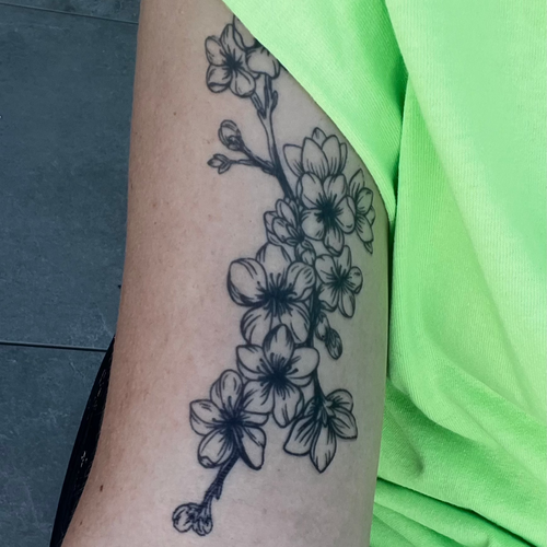 Kirschblüte