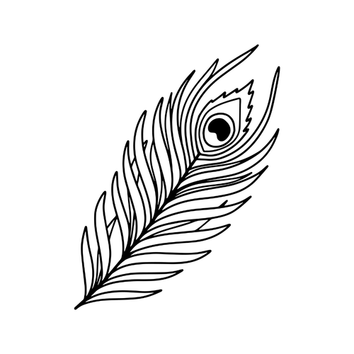 Pfauenfeder