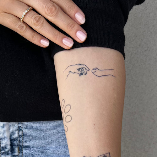 Hundepfote und Hand