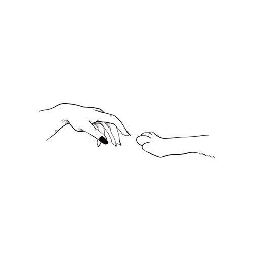 Hundepfote und Hand