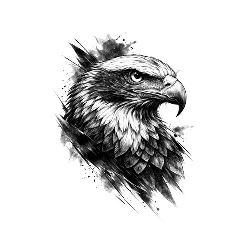 Schwarzer Adler