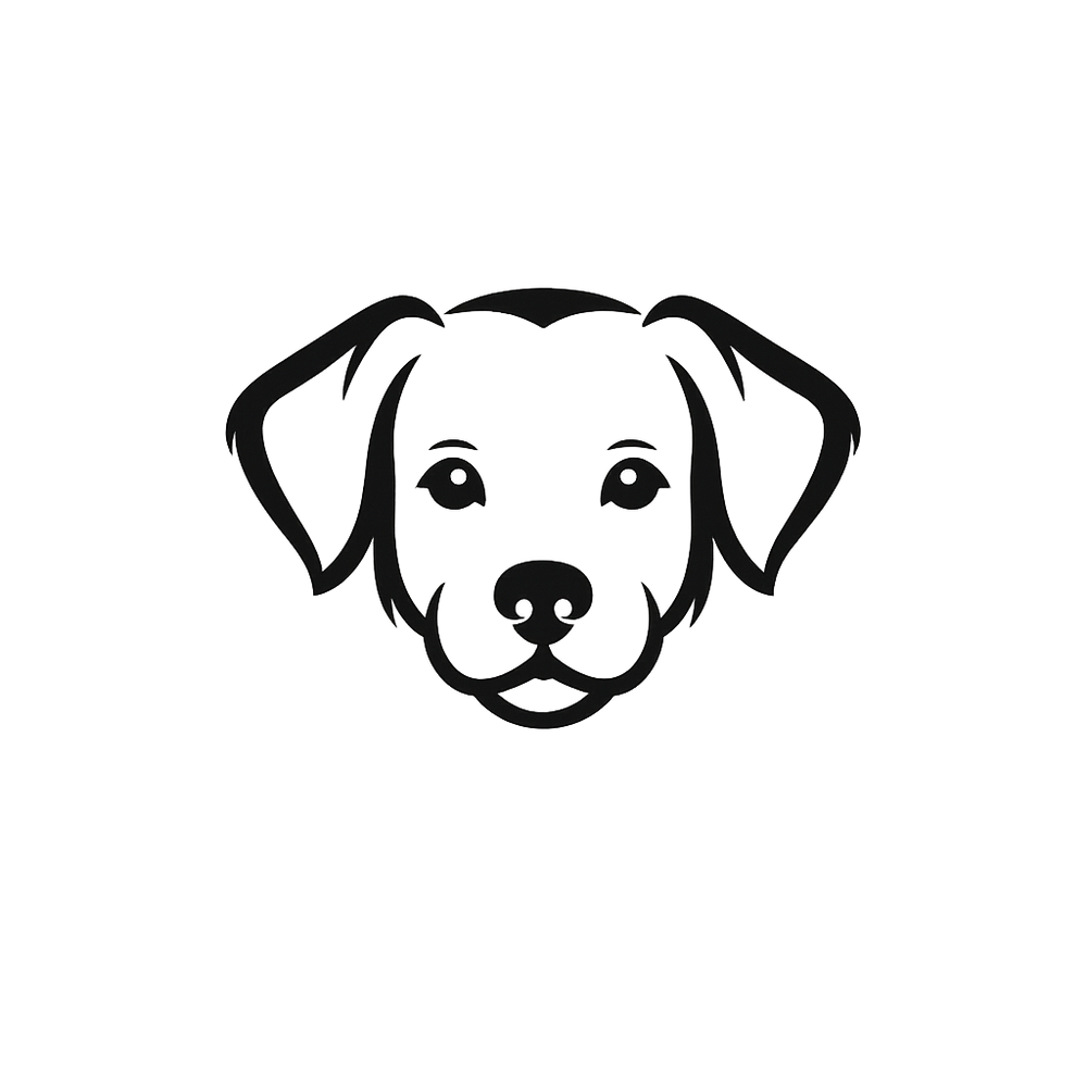 Chien minimaliste