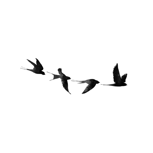 Schwalbenschwarm