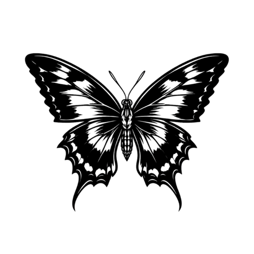 Schwarzer Schmetterling