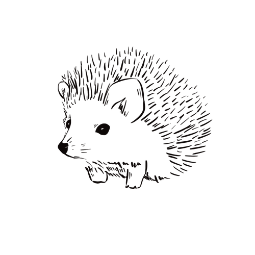Igel Tätowierung