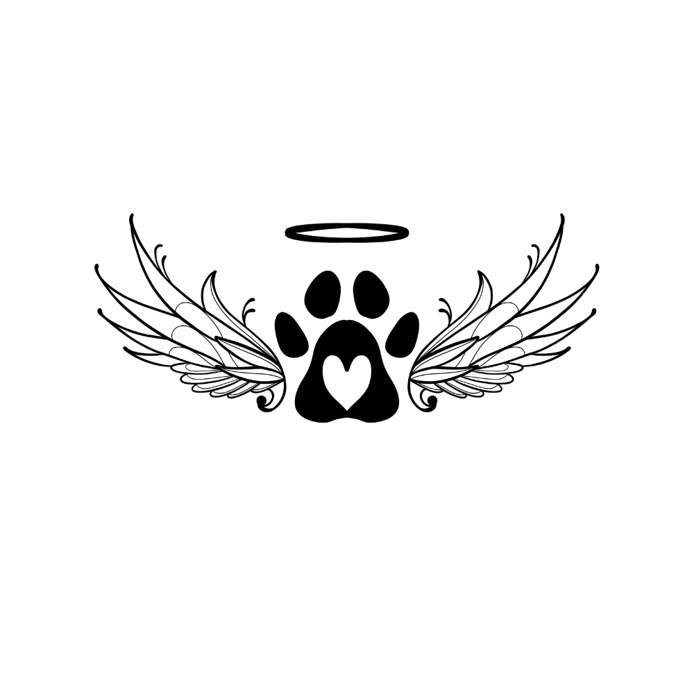 Engelspfote