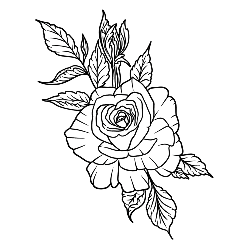 ewige Rose