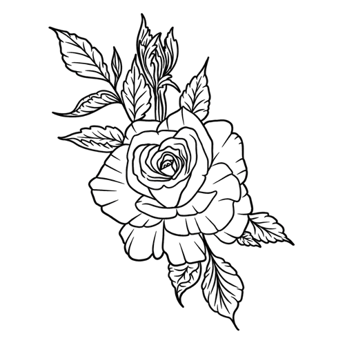 ewige Rose